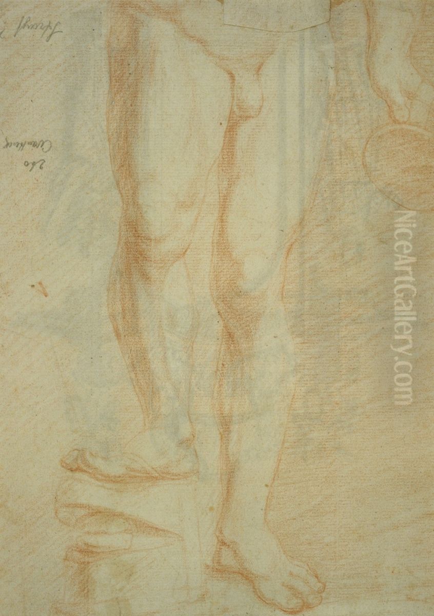 Etude du nu d'un athlete (partie inferieure du corps) Oil Painting by unknown