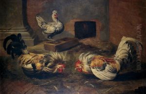 Chicken coop