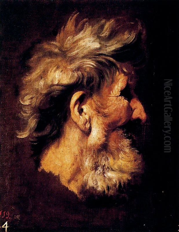 Cabeza de viejo Oil Painting by Pietro Paolo Bonzi