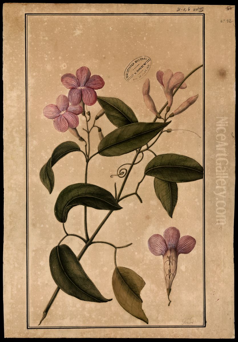 (Bignomiacea) Oil Painting by Jose Joaquim Freire