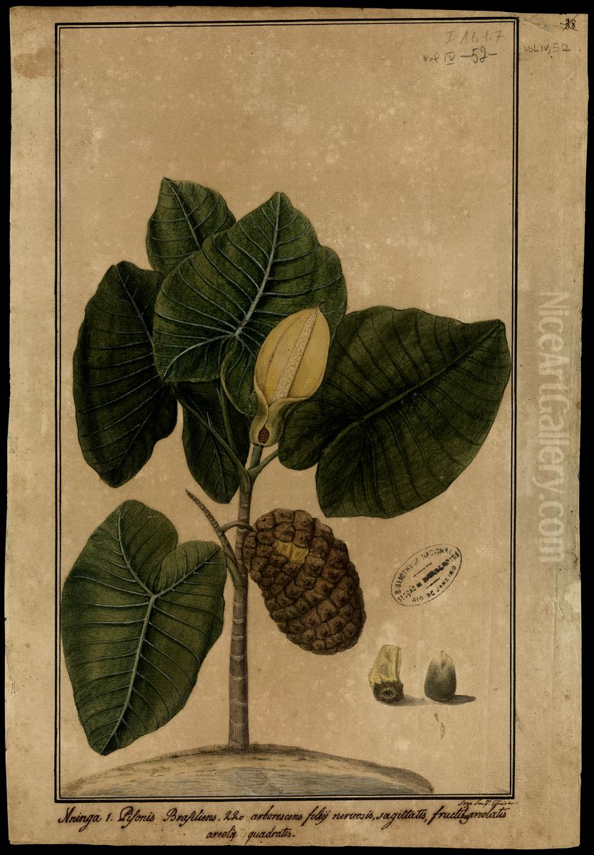 (Flora brasileira sem identificacao) Oil Painting by Jose Joaquim Freire