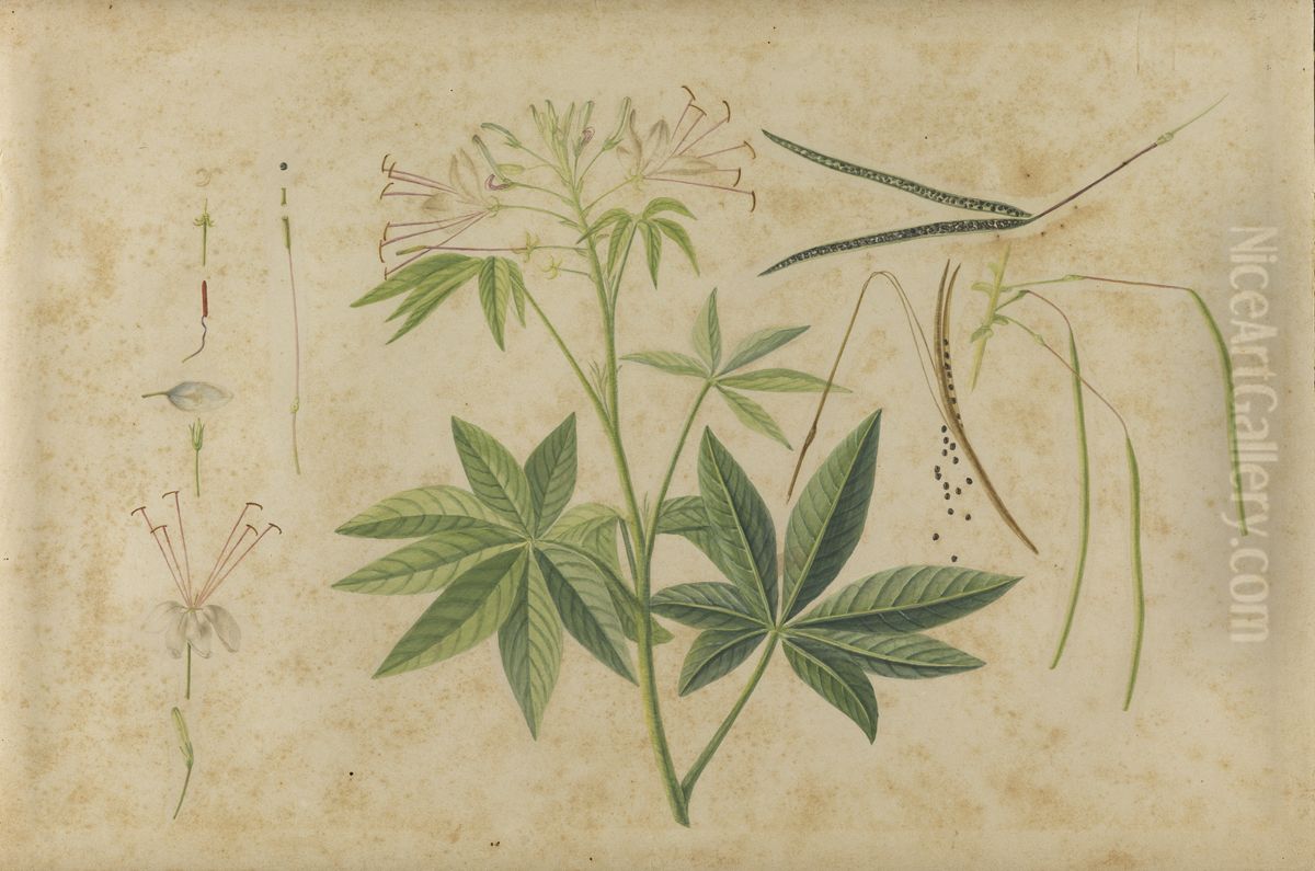 (Lirio?) Oil Painting by Jose Carlos dos Reis Carvalho