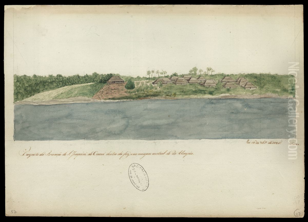Prospecto da povoacao de S. Joaquim do Cuane dentro da foz, e na margem austral do rio Uaupes Oil Painting by Jose Joaquim Freire