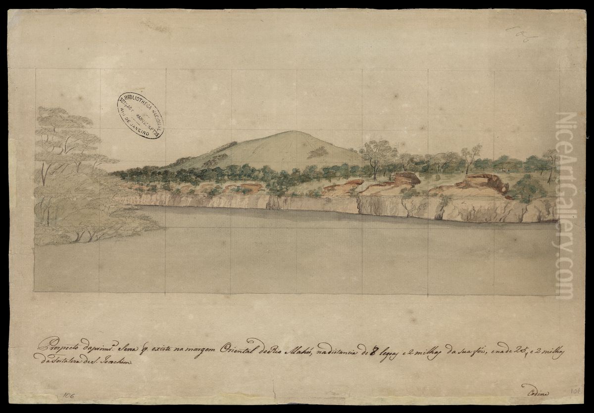Prospecto da primeira serra que existe na margem oriental do Rio Mahu, na distancia de 8 leguas e 2 milhas da sua foz, e na de 25 e 2 milhas da Fortaleza de S.Joaquim Oil Painting by Joaquim Jose Codina