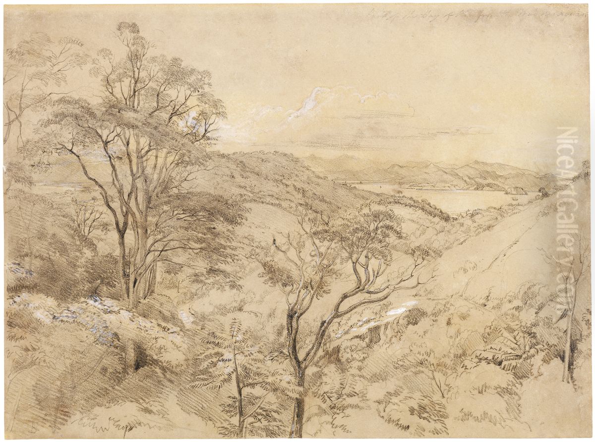 Rio de Janeiro Bay from the Mai das Aguas Oil Painting by Charles Landseer