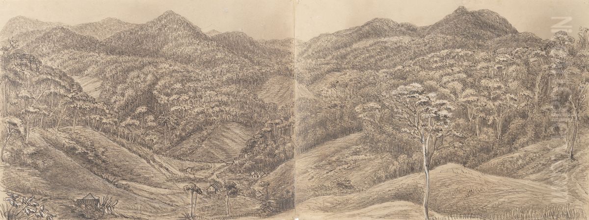 Valley - from the Road to the Presidencia - Petropolis Febr. 6th 1855 Oil Painting by Marguerite Tollemache