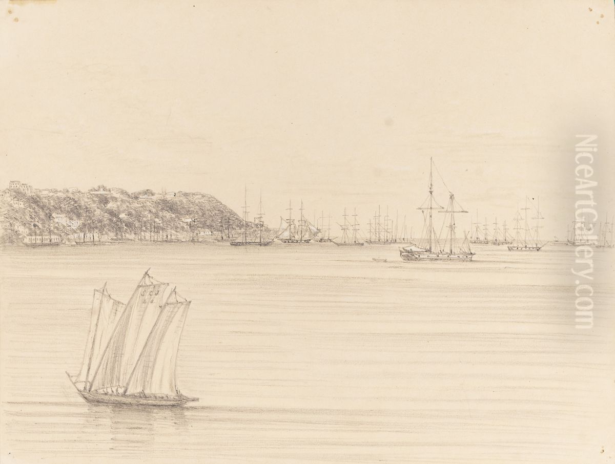 Victoria - Bahia from the 'Avon' Steamer 18th April 1855 Oil Painting by Marguerite Tollemache