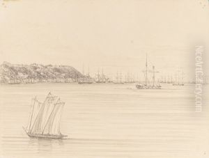 Victoria - Bahia from the 'Avon' Steamer 18th April 1855