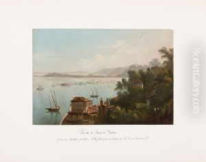Vue de la Rade de Bahia prise du Jardin public. A la fabrique de tabac de M. M. de Meuron e Cie