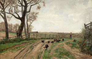 La pavera