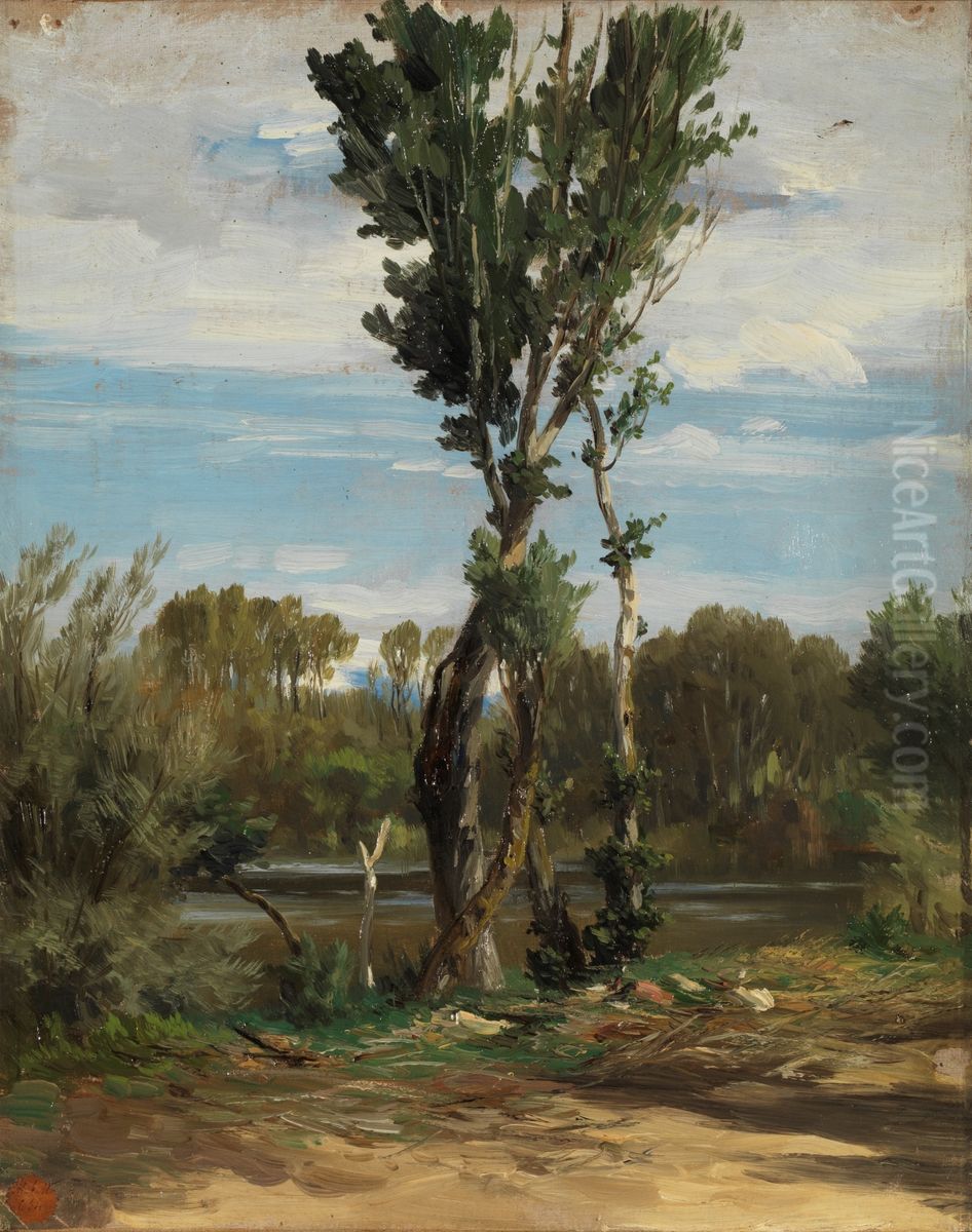 El lago de la Casa de Campo Oil Painting by Carlos de Haes