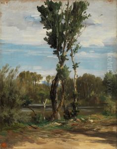 El lago de la Casa de Campo
