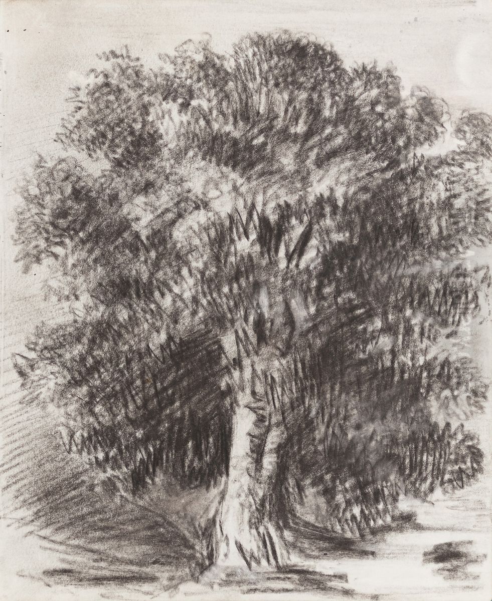 Mango Tree by Moonlight -  1/2 past 6. Tijuca 7th April 1854 Oil Painting by Marguerite Tollemache