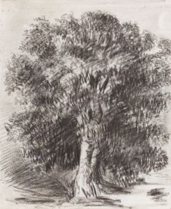 Mango Tree by Moonlight -  1/2 past 6. Tijuca 7th April 1854