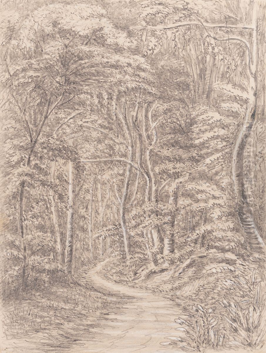 Approach to The Spot - Corcovado - 30th December 1854 Oil Painting by Marguerite Tollemache