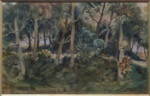 Sous-bois