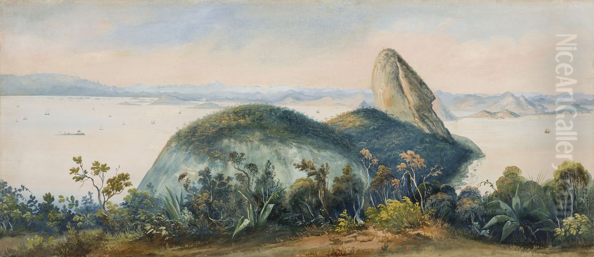 Baia do Rio de Janeiro com Pao de Acucar (atribuido) Oil Painting by Friedrich Hagedorn