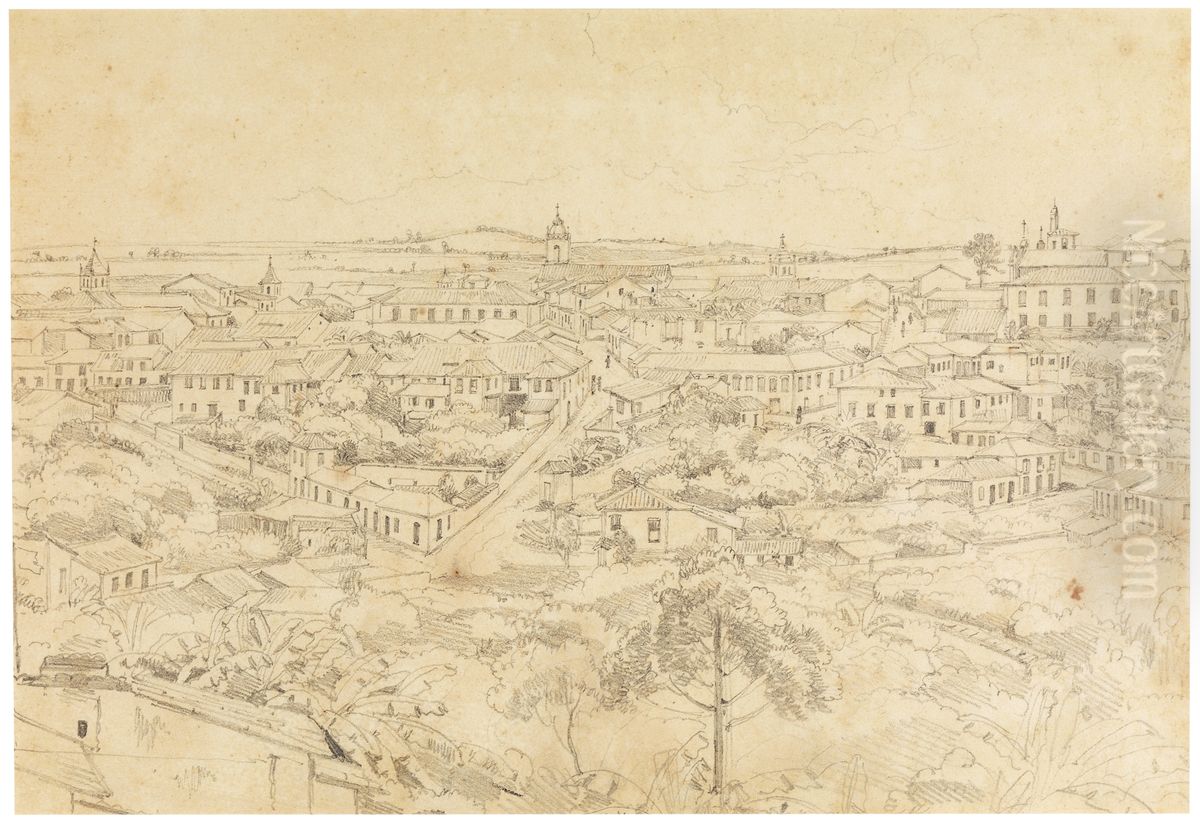 City of Sao Paulo Oil Painting by Charles Landseer