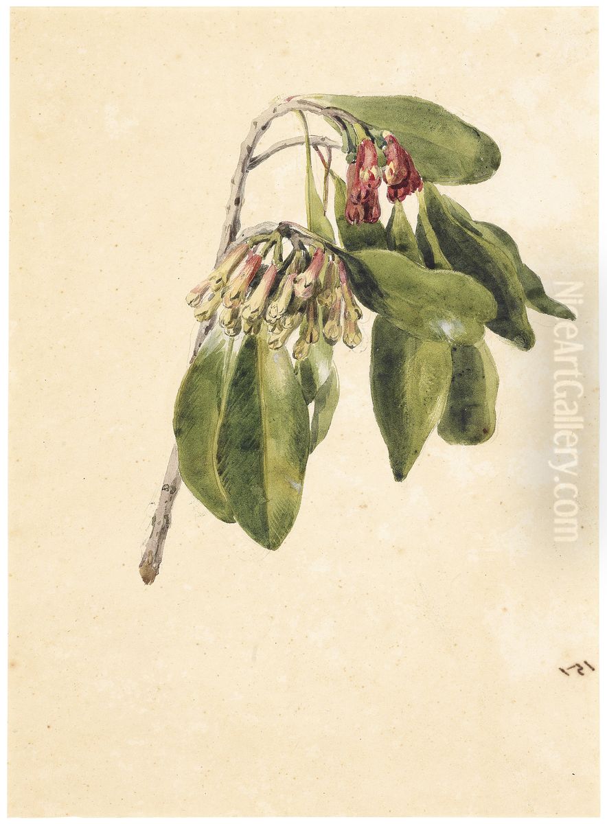 Clove Oil Painting by Charles Landseer