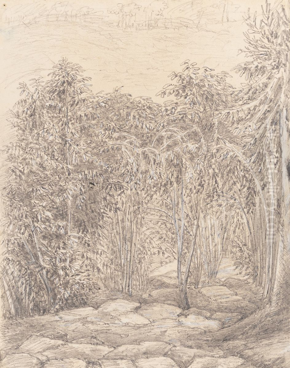 Coffee Trees. Steps to the Bath Spot delt M T. 25th November - 1854 Oil Painting by Marguerite Tollemache