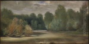L'etang, le Louroux en Touraine