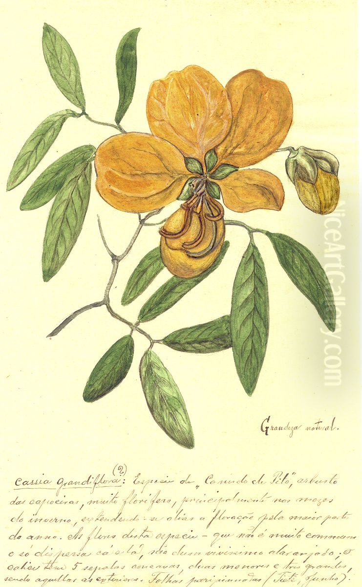 Repertorio de Biologia Oil Painting by unknown