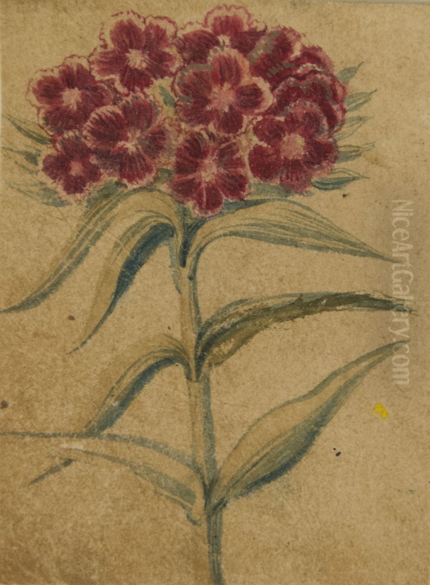 Desenho de Planta - Album M A B A D - Prancha N.7 Oil Painting by unknown