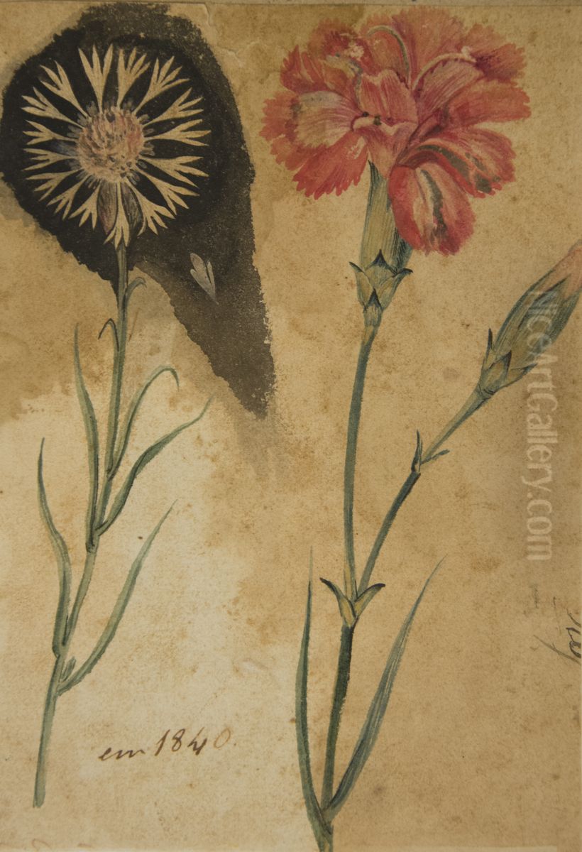 Desenho de Planta - Album M A B A D - Prancha N.3 Oil Painting by unknown