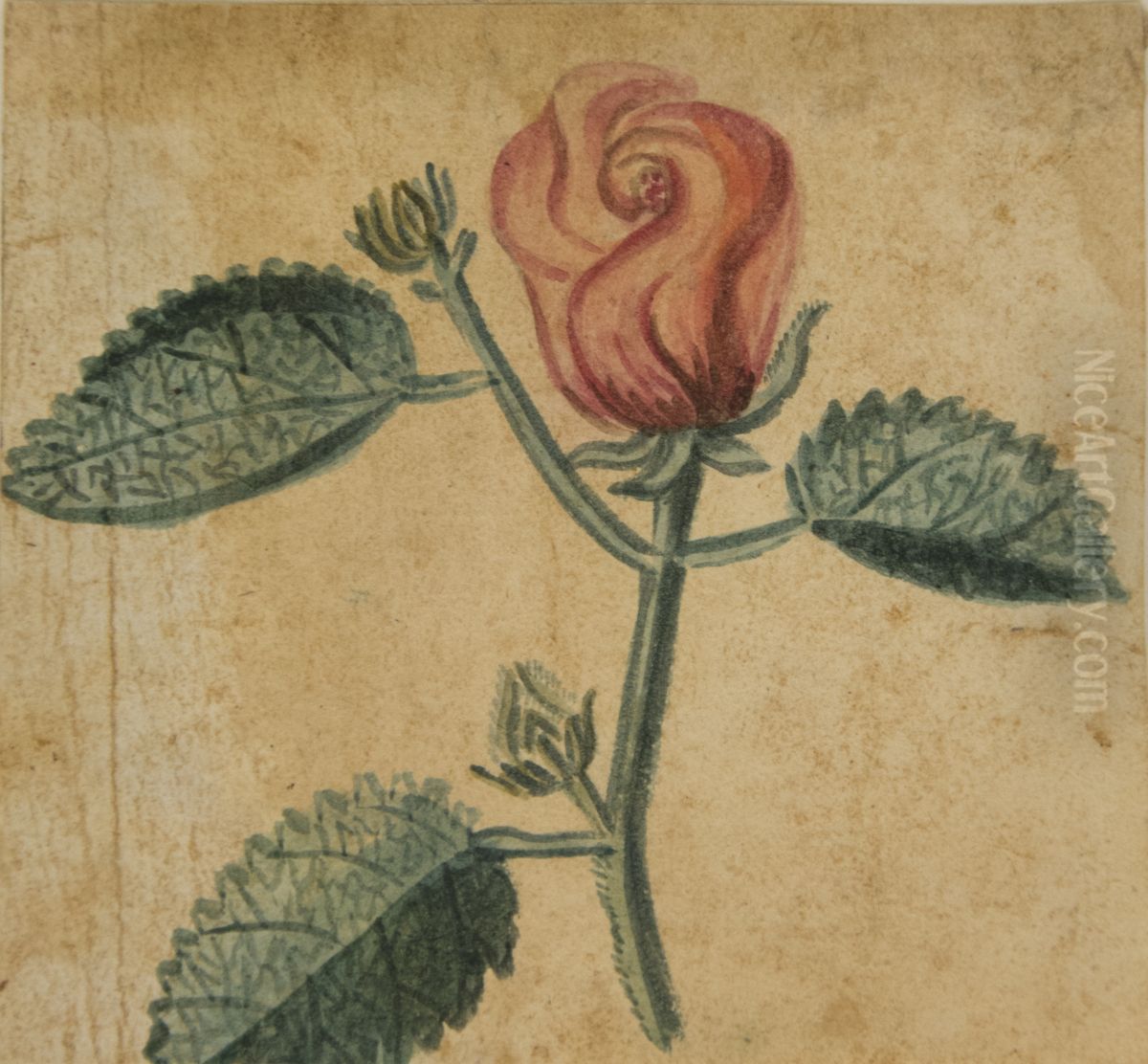 Desenho de Planta - Album M A B A D - Prancha N.7 Oil Painting by unknown