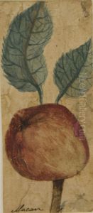 Desenho de Planta - Album M A B A D - Prancha N.7 Desenho de Planta - Album M A B A D - Prancha N.7