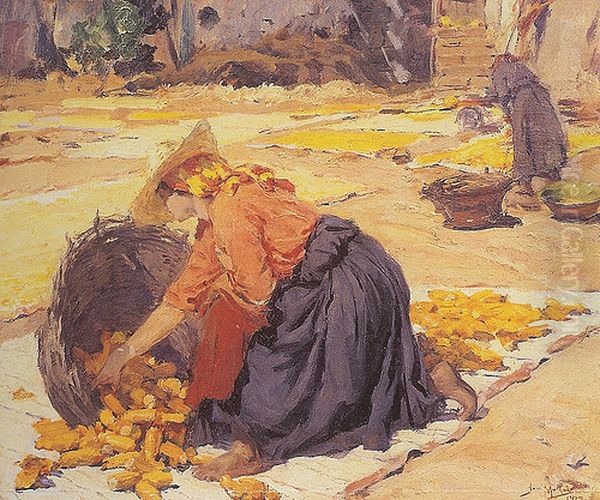 Corn in the sun Oil Painting by Jose Malhoa