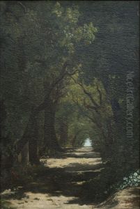 The Woods of Caldas