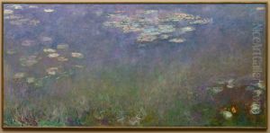 Water Lilies (Agapanthus)