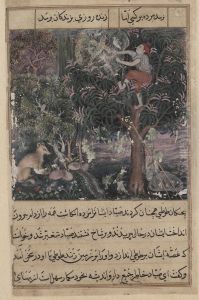 Fifth night: The hunter throws away the baby parrots, who pretend to be dead, and captures the mother