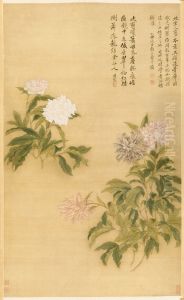 Herbaceous Peony