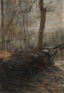 Woods Scene