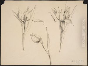 drawing by Philippe Wolfers , KBS-FRB, D2017.023.019.011