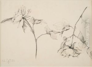 drawing by Philippe Wolfers , KBS-FRB, D2017.023.019.016