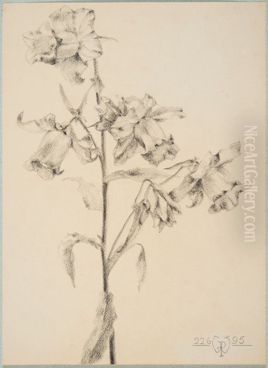 drawing by Philippe Wolfers , KBS-FRB, D2017.023.019.027 Oil Painting by Philippe Wolfers