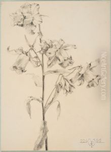 drawing by Philippe Wolfers , KBS-FRB, D2017.023.019.027