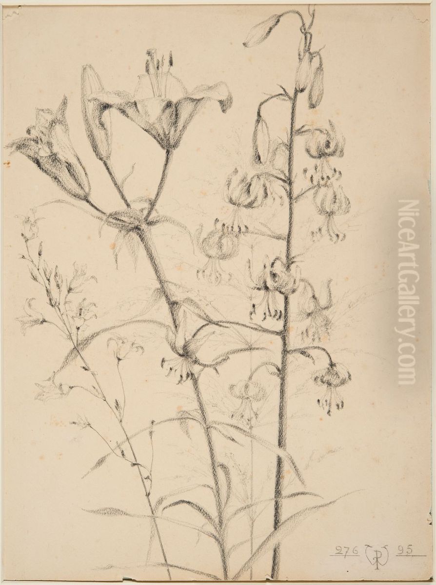 drawing by Philippe Wolfers , KBS-FRB, D2017.023.019.028 Oil Painting by Philippe Wolfers