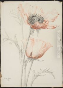 drawing by Philippe Wolfers , KBS-FRB, D2017.023.019.029