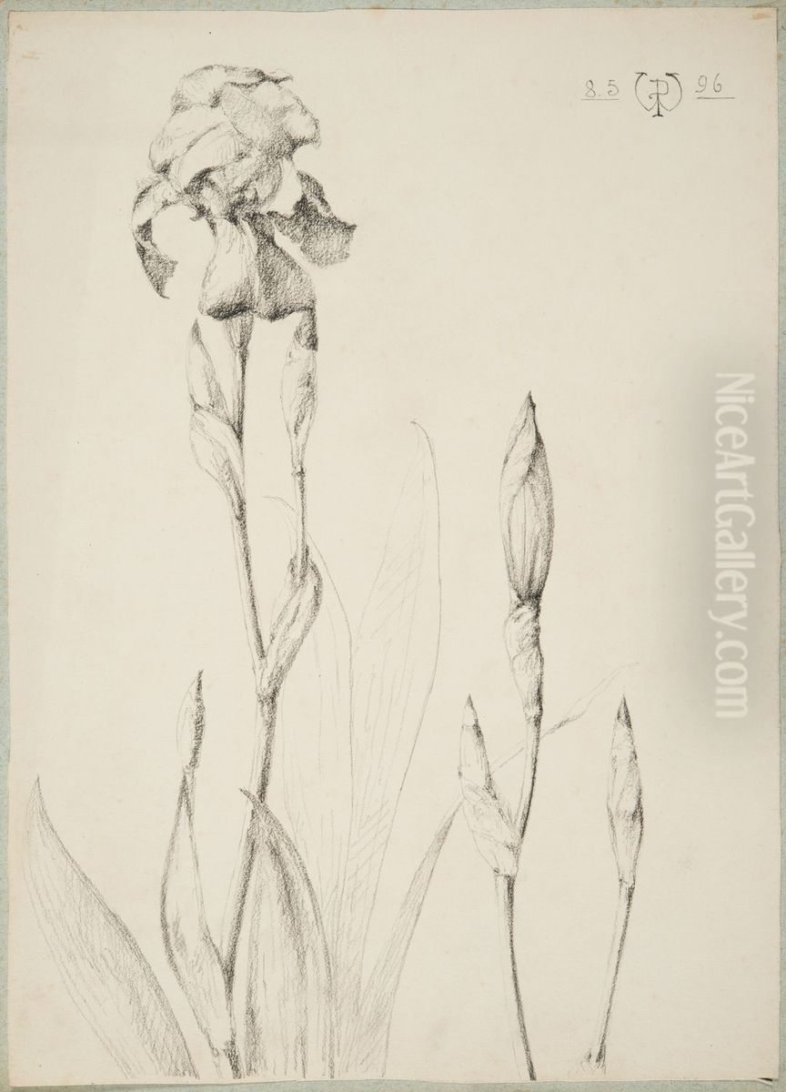 drawing by Philippe Wolfers , KBS-FRB, D2017.023.019.034 Oil Painting by Philippe Wolfers