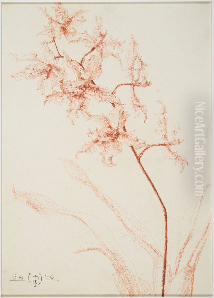 drawing by Philippe Wolfers , KBS-FRB, D2017.023.019.036 Oil Painting by Philippe Wolfers