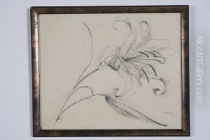 drawing by Philippe Wolfers , KBS-FRB, D2017.023.019.041