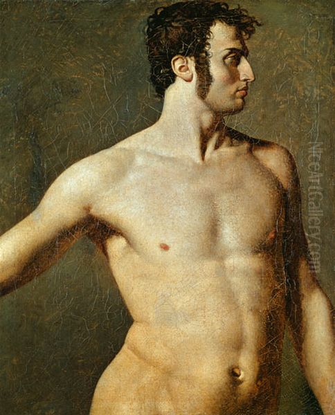 Male torso Oil Painting by Jean Auguste Dominique Ingres