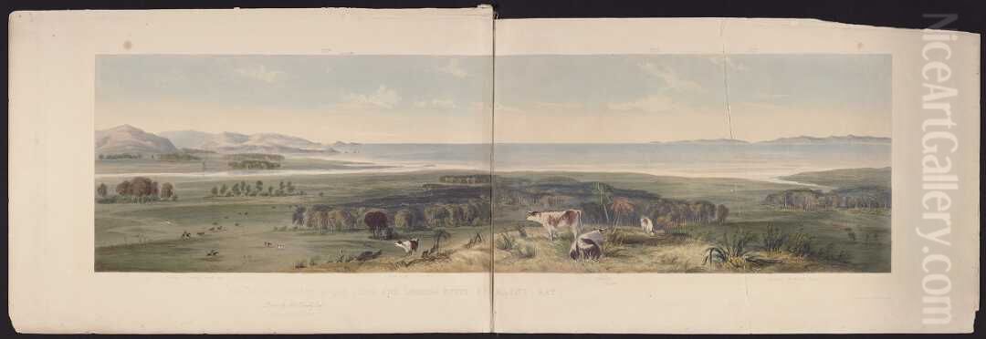 The level country at the South end, looking north of Blind Bay Oil Painting by Charles Heaphy