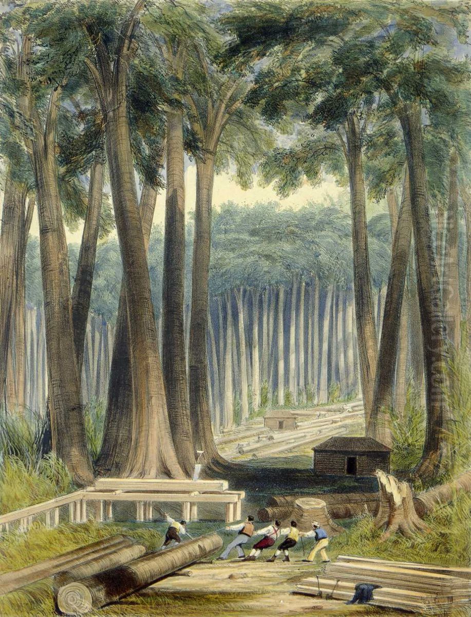 A sawyer's clearing in a forest of kauri Oil Painting by Charles Heaphy