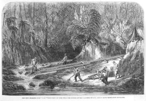 The New Zealand gold field, Discovery of gold near the source of the Kapanga Stream, about forty miles from Auckland.