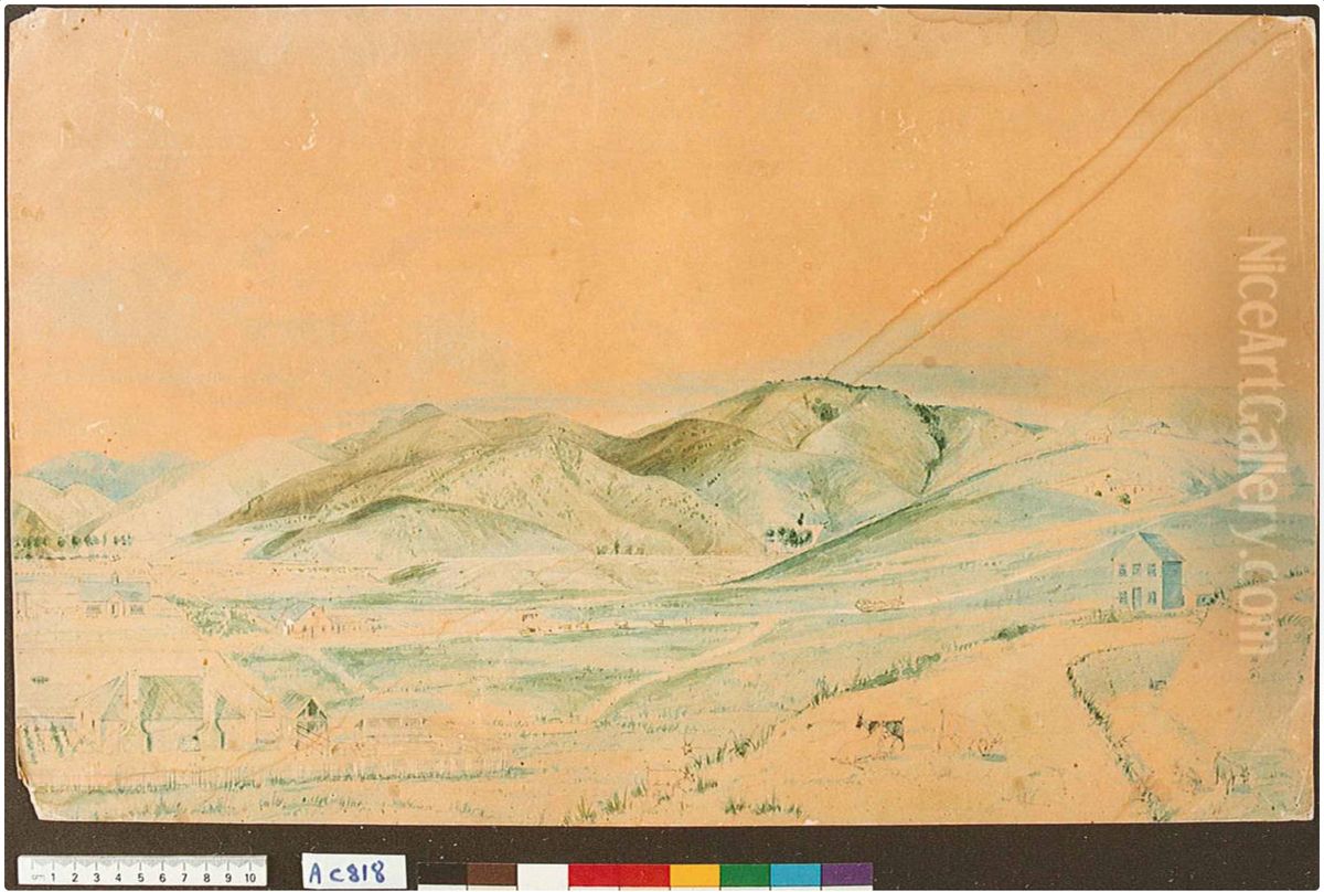 [Nelson from Church Hill looking east] Oil Painting by Charles Heaphy